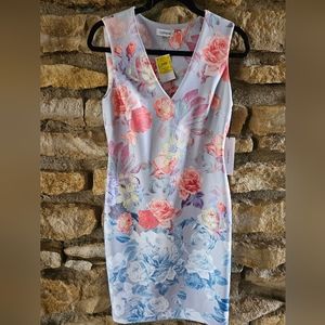 Calvin Klein Women's Printed Sleeveless Sheath Dress